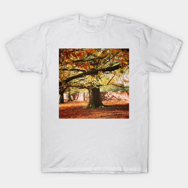 Autumn tree T-Shirt by Jonesyinc